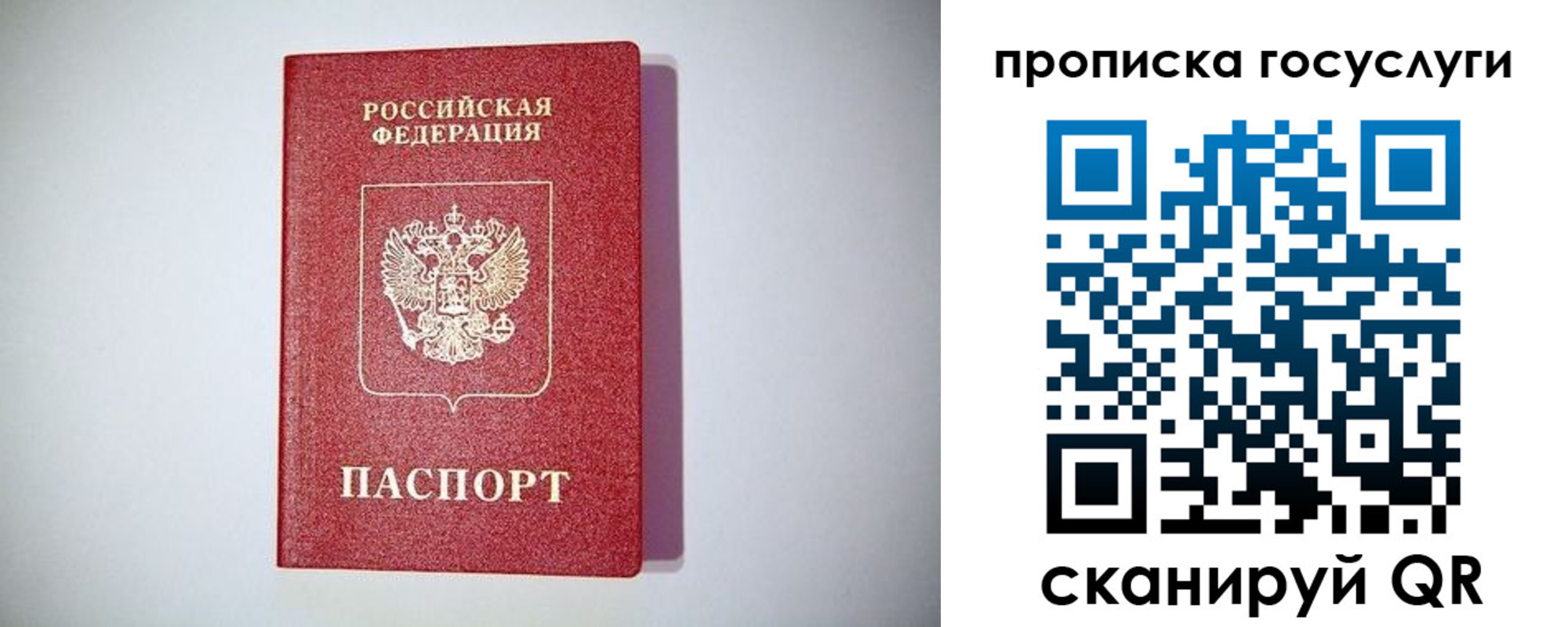 временная регистрация госуслуги в Лыткарино